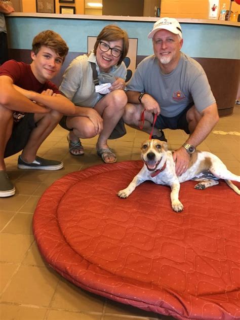 mesquite animal shelter lost and found|animal shelters near mesquite.